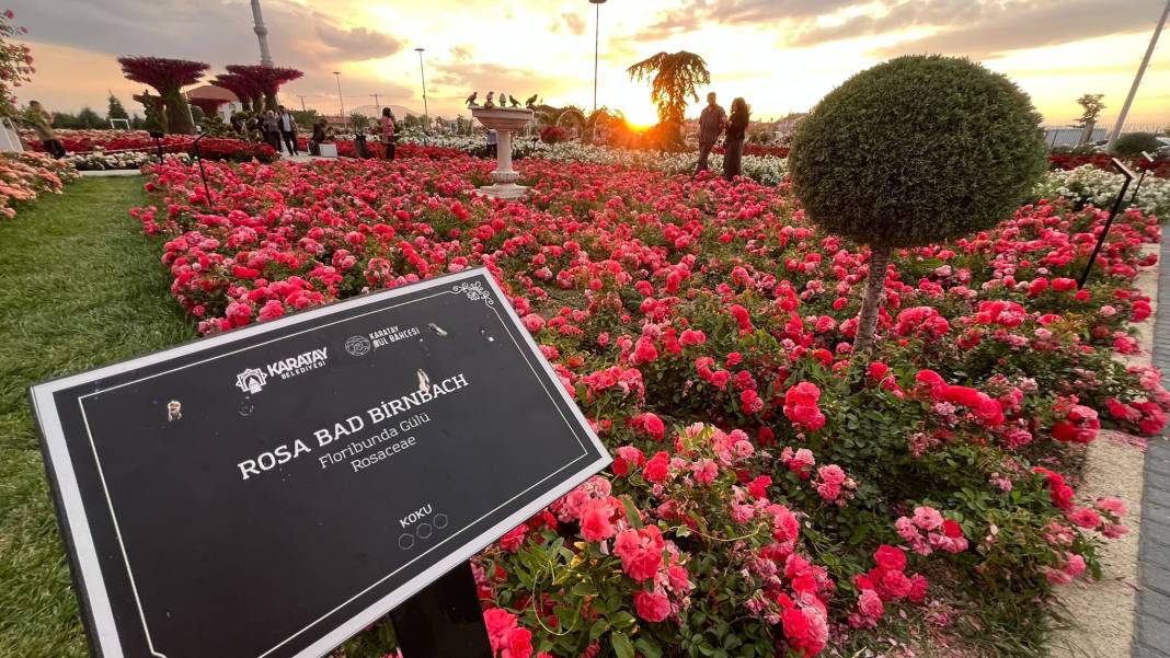 Konya’nın günbatımında masalsı manzara sunan parkı 6